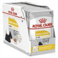 Royal Canin Dermacomfort wet food Pouch Wet Dog Food 皮膚敏感配方濕糧包 85g 